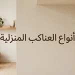 صورة غلاف مقالة أنواع العناكب المنزلية تظهر عنكبوت القبو على شبكته في زاوية غرفة نظيفة