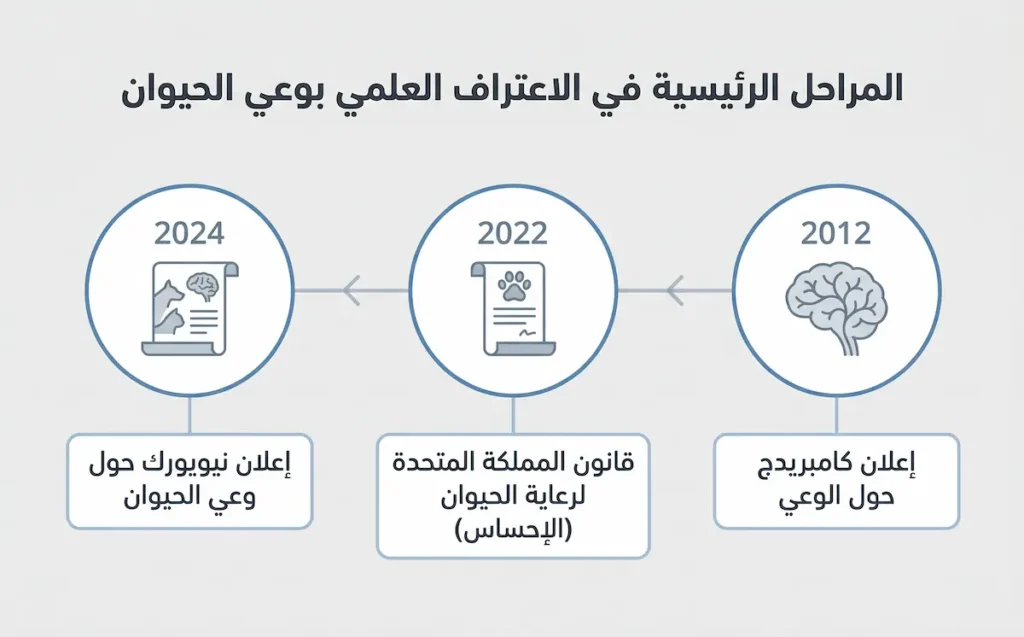 مخطط زمني يوضح أبرز محطات الاعتراف العلمي والقانوني بوعي الحيوانات بين 2012 و2024.