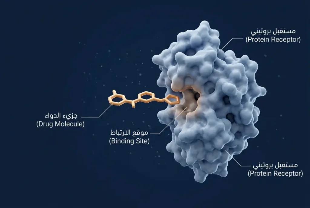  رسم علمي ثلاثي الأبعاد يوضح ارتباط الجزيء الدوائي بالموقع الفعّال في البروتين المستهدف