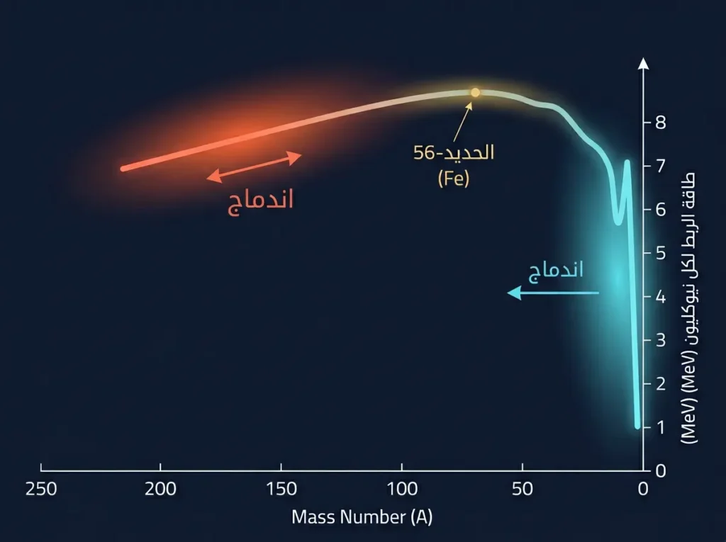 رسم بياني لمنحنى طاقة الربط النووي لكل نيوكليون يوضّح موقع الاندماج والانشطار وقمة الاستقرار عند الحديد-56
