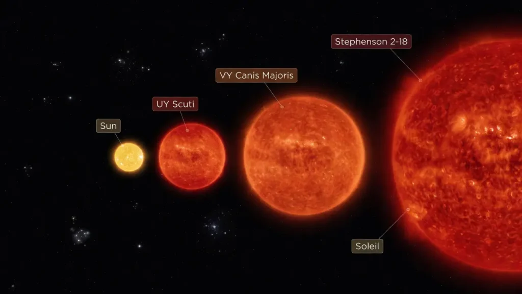 Comparaison visuelle à l'échelle des quatre étoiles : Stephenson 2-18, VY Canis Majoris, UY Scuti et le Soleil, montrant la suprématie volumétrique de St2-18.