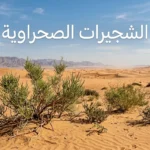 شجيرات صحراوية حقيقية في كثبان رملية جافة تحت ضوء شمس قوي تمثل بيئة النبات الصحراوي