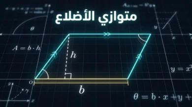 رسم هندسي رياضي دقيق لمتوازي الأضلاع يوضح القاعدة والارتفاع والخصائص الهندسية على شبكة إحداثيات.