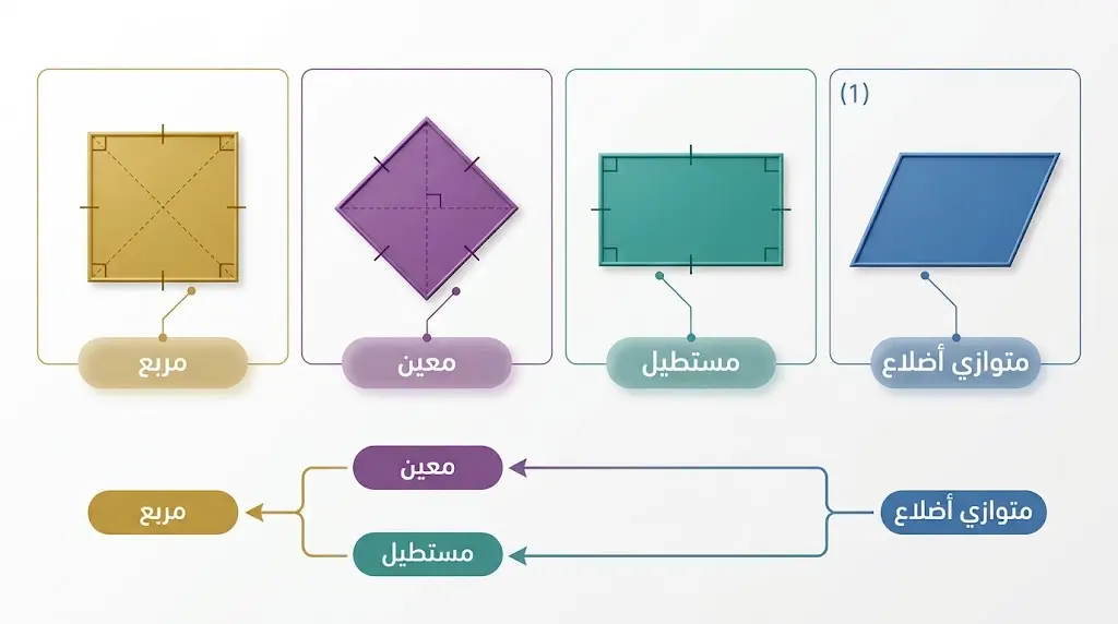  مقارنة بصرية بين متوازي الأضلاع والمستطيل والمعين والمربع مع مخطط التسلسل الهرمي بينها