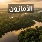 منظر جوي فوتوغرافي لغابات الأمازون المطرية الاستوائية مع نهر يشق الغابة تحت ضوء الفجر