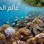 صورة غلاف لمقال عالم الحيوان تُظهر تنوعاً حيوانياً استثنائياً في شعاب مرجانية وغابة استوائية
