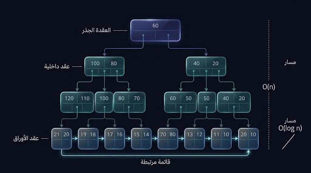 رسم توضيحي علمي دقيق لبنية شجرة B+ المستخدمة في فهرسة قواعد البيانات مع مقارنة تعقيد البحث.