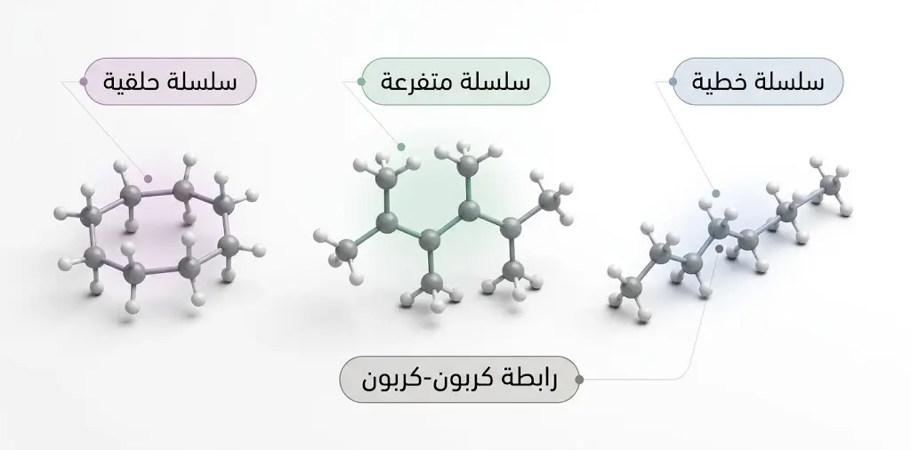 نماذج ثلاثية الأبعاد لسلاسل كربونية خطية ومتفرعة وحلقية توضح خاصية التسلسل
