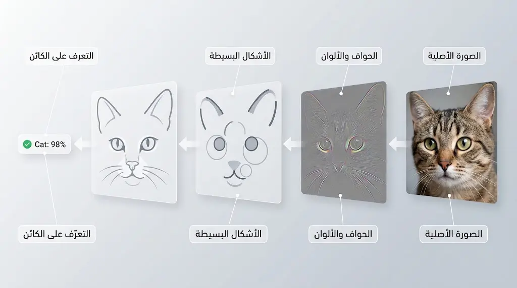 رسم توضيحي علمي يوضح مراحل معالجة الصورة في الشبكة العصبية الالتفافية من استخراج الحواف إلى التعرف على الكائن