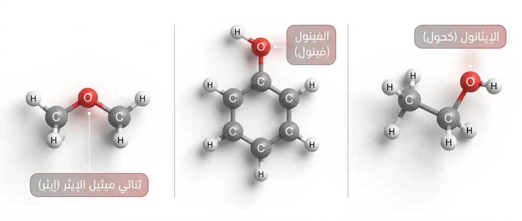 نماذج جزيئية ثلاثية الأبعاد للإيثانول والفينول وثنائي ميثيل الإيثر توضح المجموعات الوظيفية