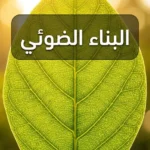ورقة نبات خضراء مضاءة بضوء الشمس الذهبي تكشف شبكة العروق الداخلية وخلايا الكلوروفيل