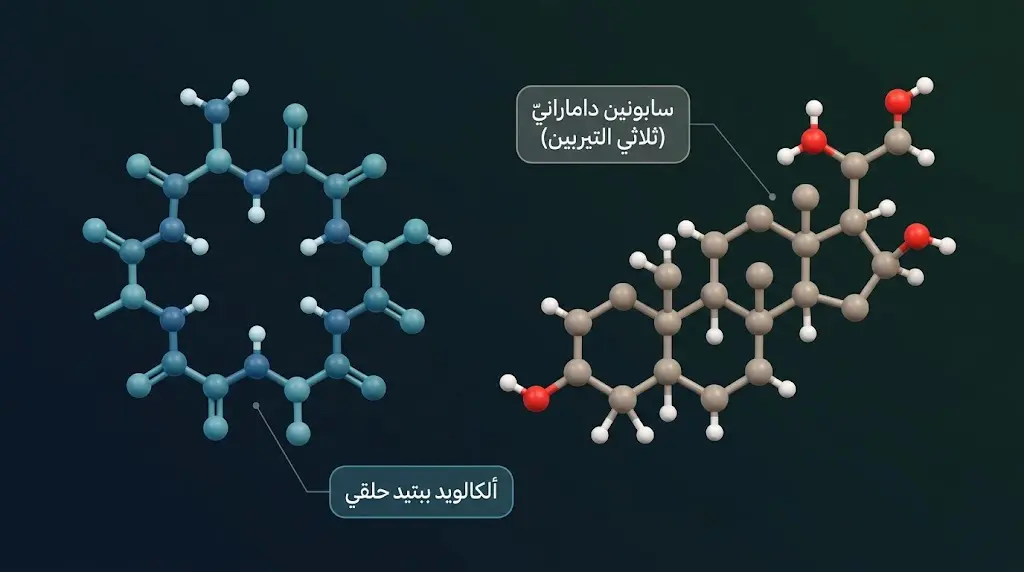 بنية جزيئية ثلاثية الأبعاد للسابونين الدامارانيّ وألكالويد الببتيد الحلقي من شجرة السدر