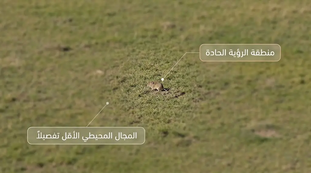 منظر جوي يحاكي حدة بصر الصقر من ارتفاع عالٍ
