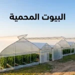 البيوت المحمية الزراعية الحديثة من الخارج في وضح النهار
