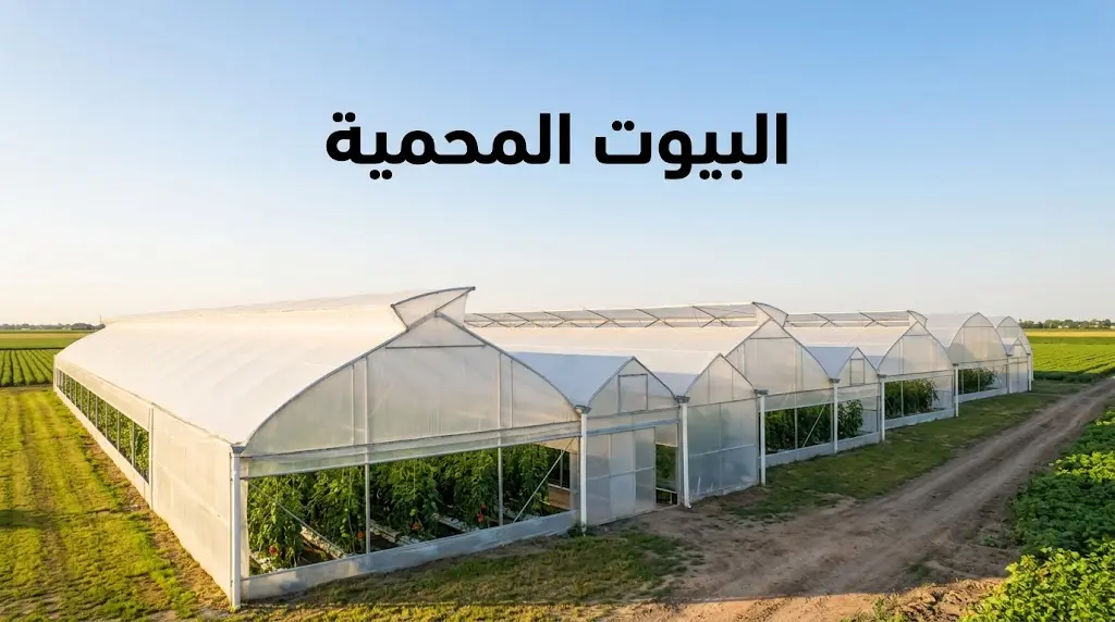 البيوت المحمية الزراعية الحديثة من الخارج في وضح النهار