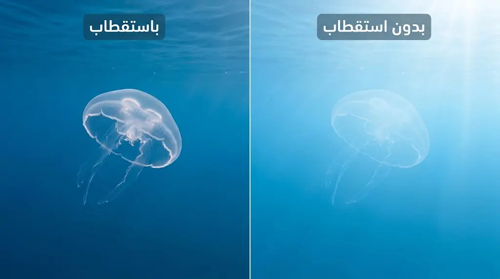 كيف يكشف استقبال الضوء المستقطب جسماً شفافاً تحت الماء