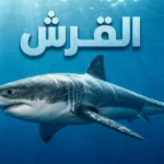 صورة واقعية لسمكة قرش أبيض كبير تسبح في المحيط توضح موضوع مقالة القرش