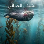ثعلب بحر يحمل قنفذ بحر فوق غابة عشب بحر كثيفة يوضح مفهوم الشلال الغذائي